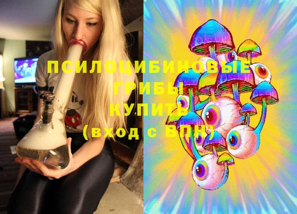 таблы Каменка