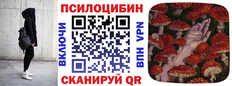 Галлюциногенные грибы мицелий Купить закладки Таштагол